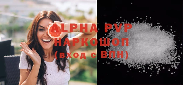 прущие грибы Михайлов
