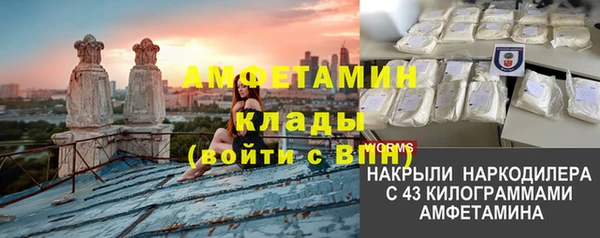 прущие грибы Михайлов