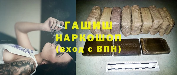 прущие грибы Михайлов