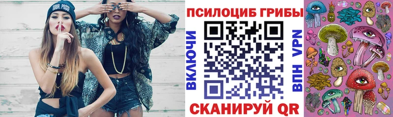Псилоцибиновые грибы GOLDEN TEACHER  Ершов 